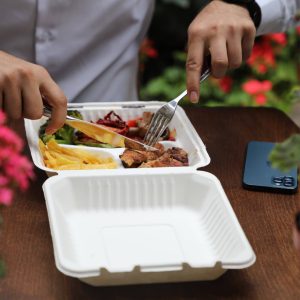 استفاده از ظرف سه خانه